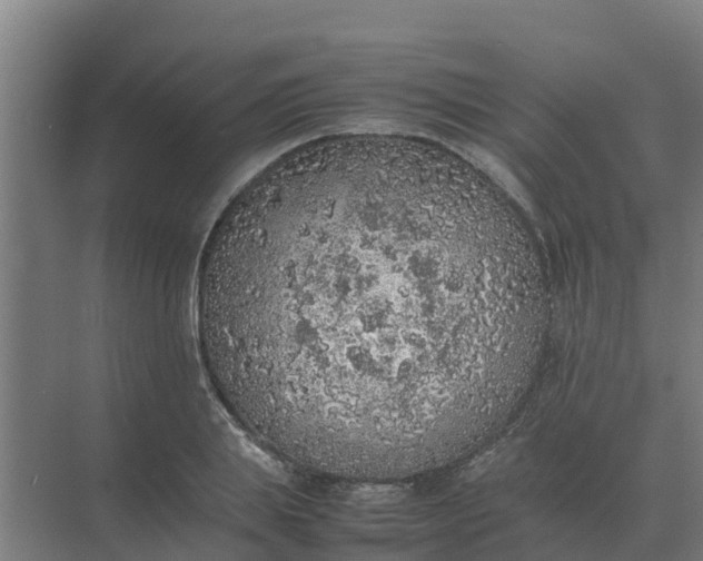 X0000074970839200609152120