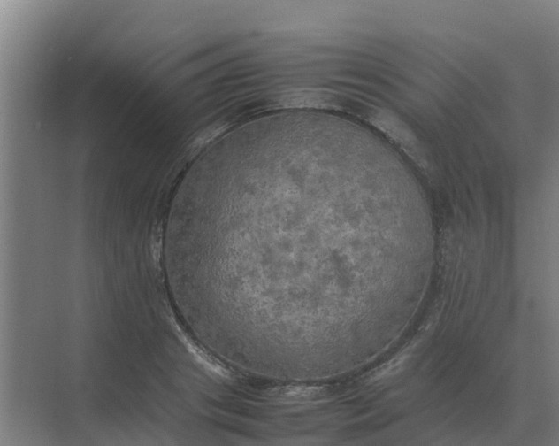 X0000074970841200609152120