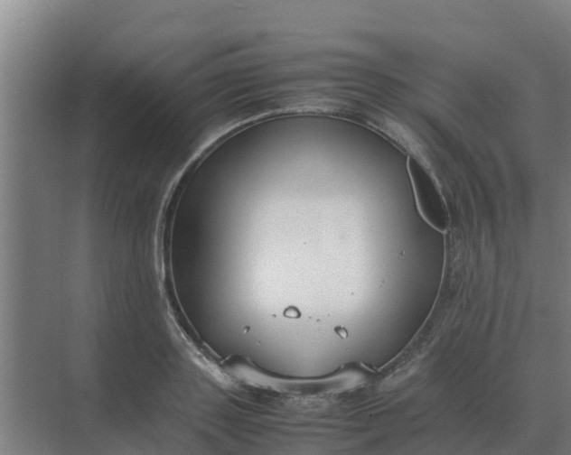 X0000074970843200609152120