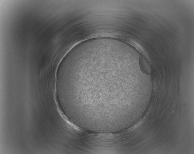 X0000074970844200609152120