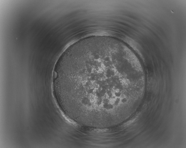 X0000074970845200609152120