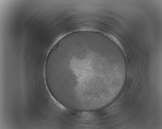 X0000074970847200609152120