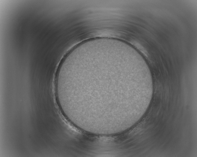 X0000074970848200609152120