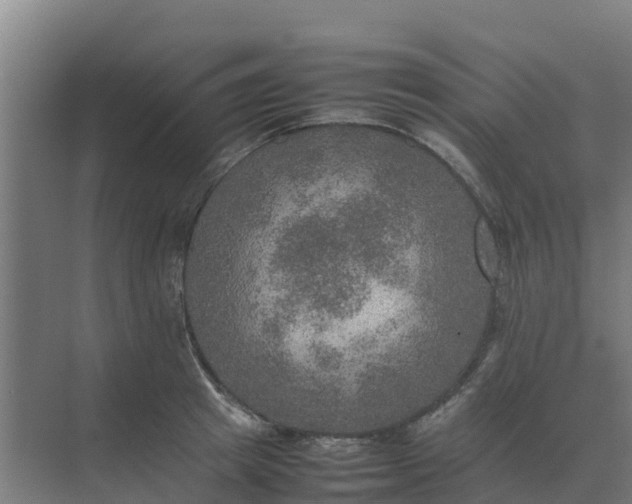 X0000074970849200609152120