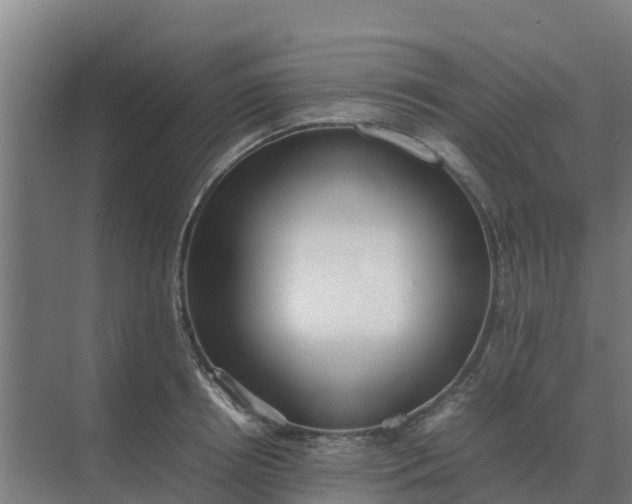 X0000074970850200609152120