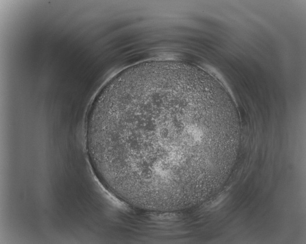 X0000074970851200609152120