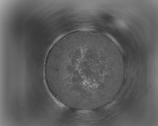 X0000074970853200609152120