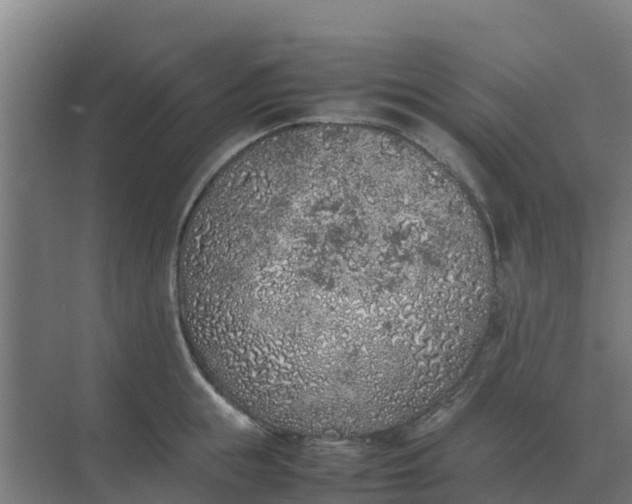 X0000074970855200609152120