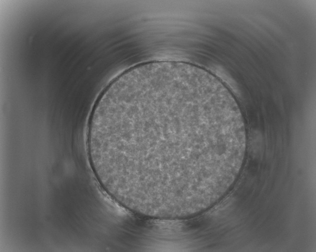 X0000074970856200609152120