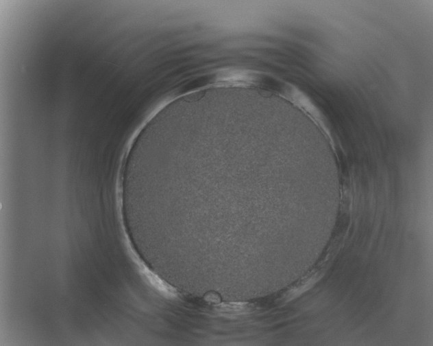 X0000074970859200609152121