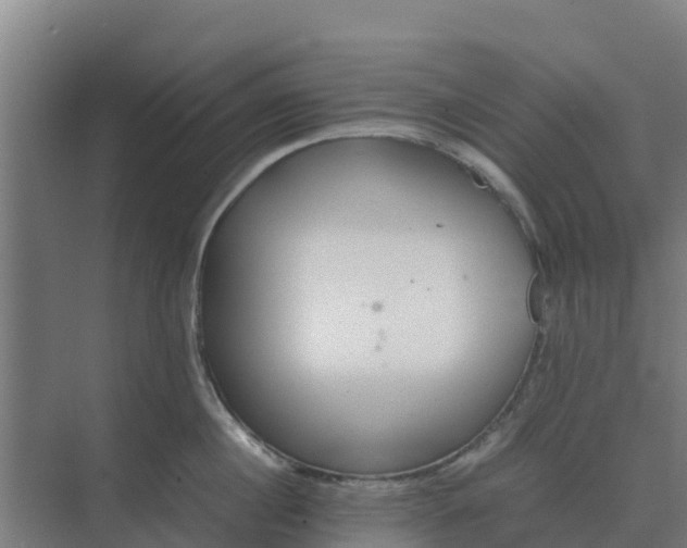 X0000074970860200609152121