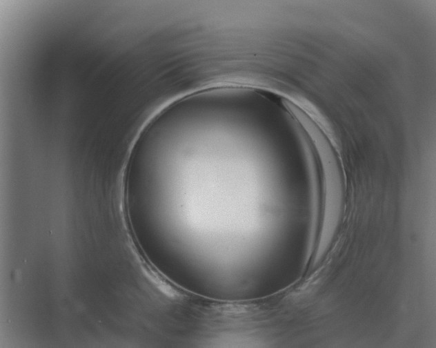 X0000074970862200609152121