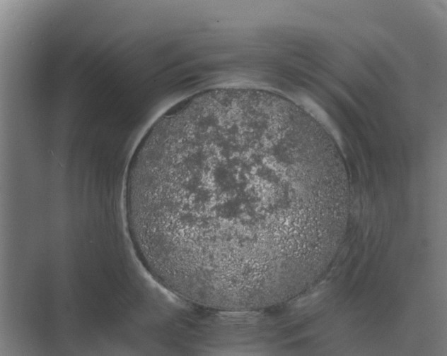 X0000074970863200609152121