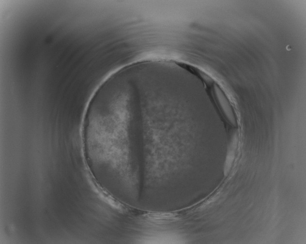 X0000074970864200609152121