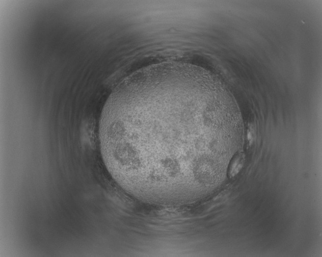 X0000074970867200609152120