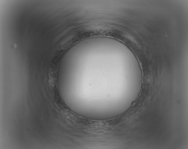 X0000074970869200609152120