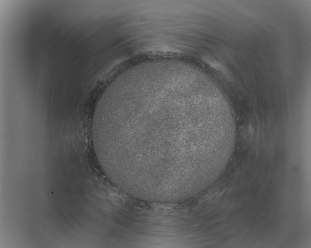 X0000074970870200609152120