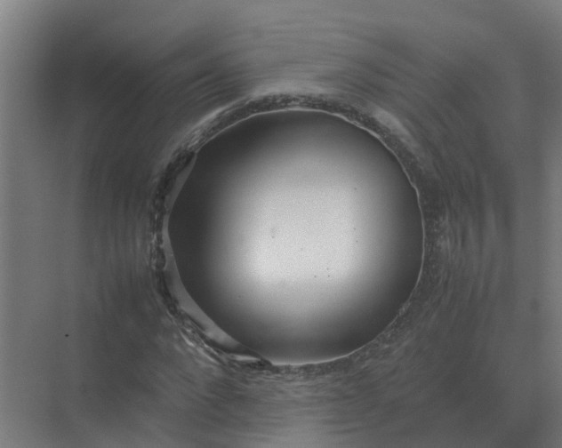 X0000074970872200609152120