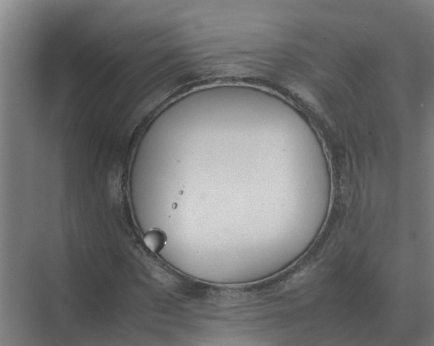 X0000074970873200609152120