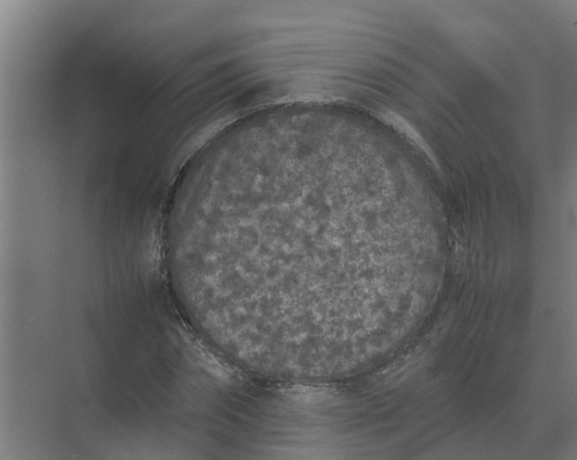 X0000074970874200609152120