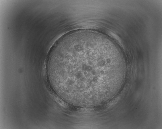 X0000074970875200609152120