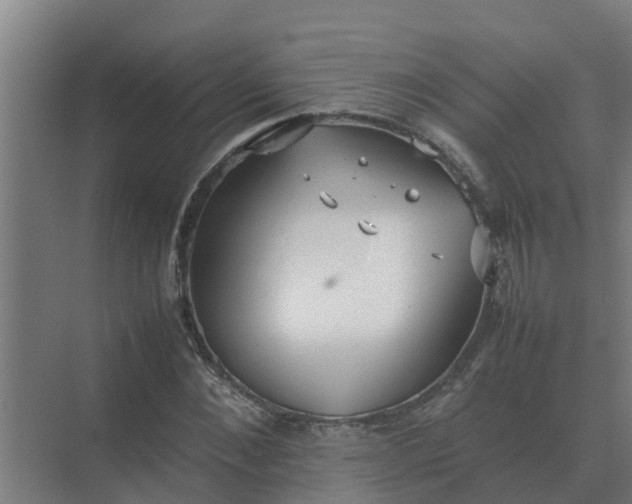 X0000074970876200609152120