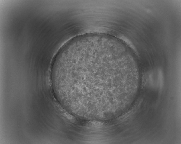 X0000074970878200609152120