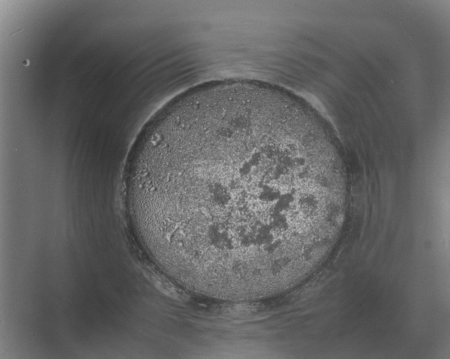 X0000074970879200609152120