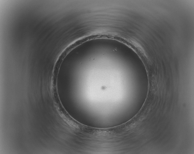 X0000074970880200609152120