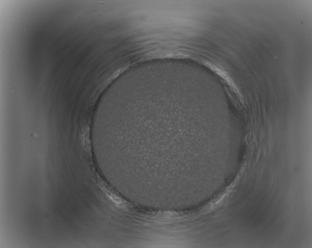 X0000074970881200609152120