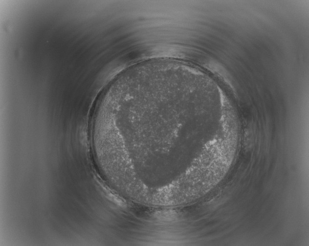 X0000074970882200609152120