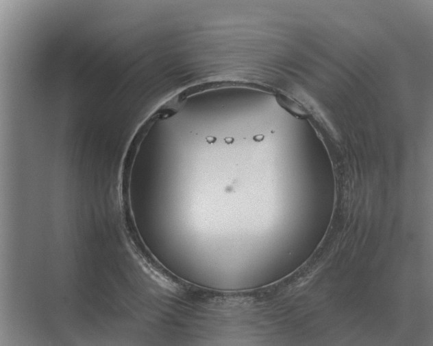 X0000074970884200609152119