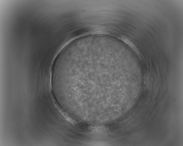 X0000074970886200609152119