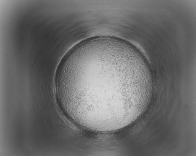 X0000074970887200609152119