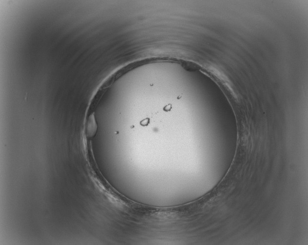 X0000074970888200609152119