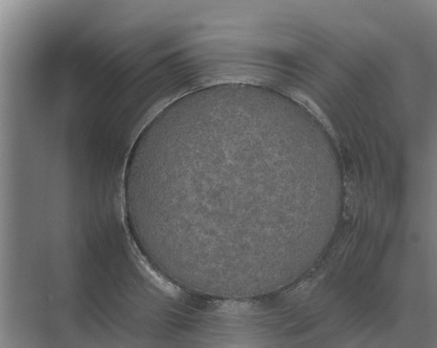 X0000074970890200609152119