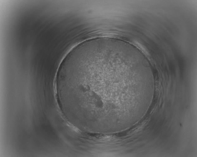 X0000074970891200609152119