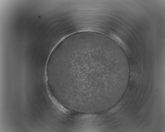 X0000074970892200609152119