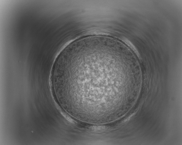 X0000074970893200609152119