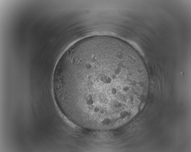 X0000074970895200609152119