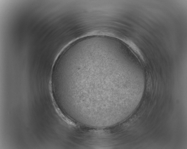 X0000074970896200609152119