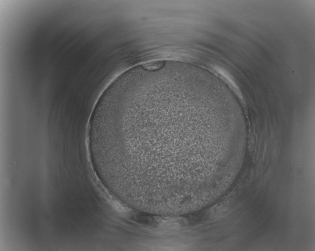 X0000074970899200609152119