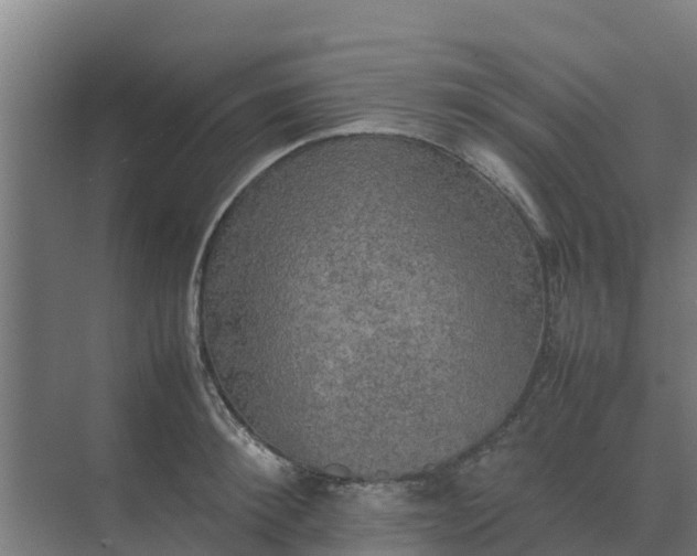 X0000074970900200609152119