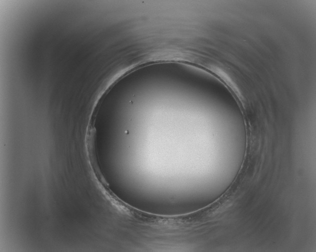 X0000074970901200609152119