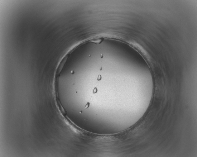 X0000074970902200609152119