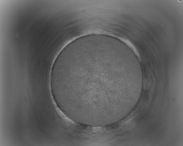 X0000074970903200609152119