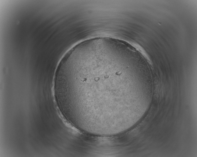 X0000074970904200609152119