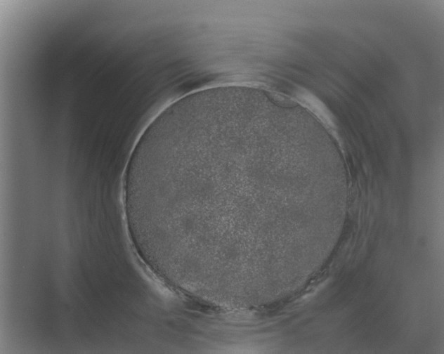 X0000074970907200609152119