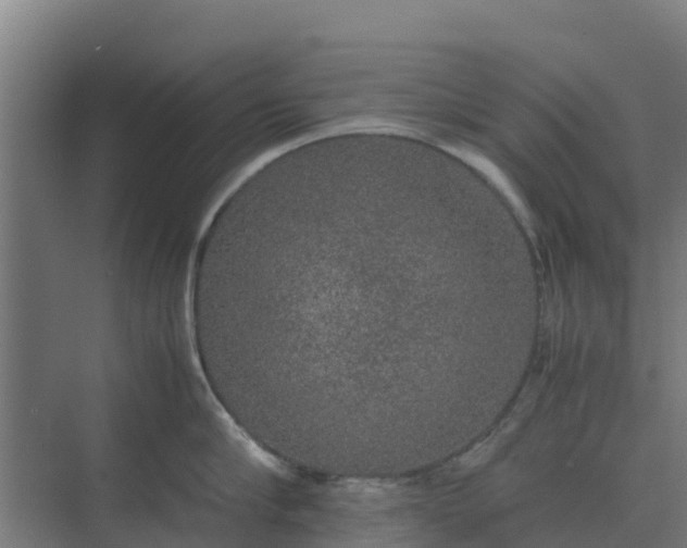 X0000074970910200609152119