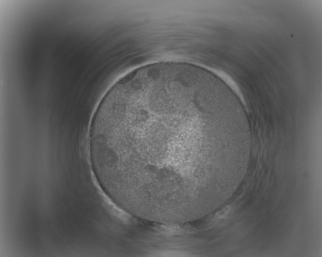 X0000074970911200609152119